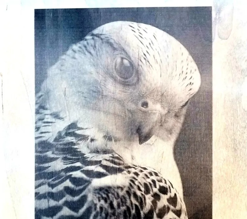 Laser Engraved Eagle in a Wood